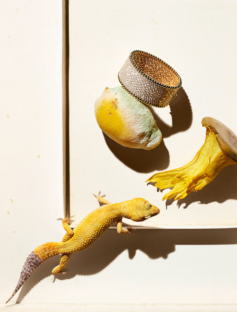 Isabelle Bonjean Citizen K Boites 2