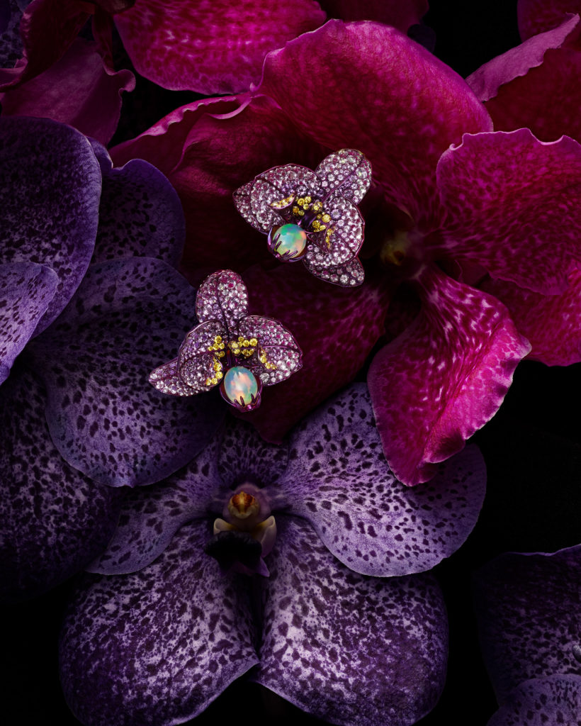 Isabelle Bonjean Chopard Orchidees 2